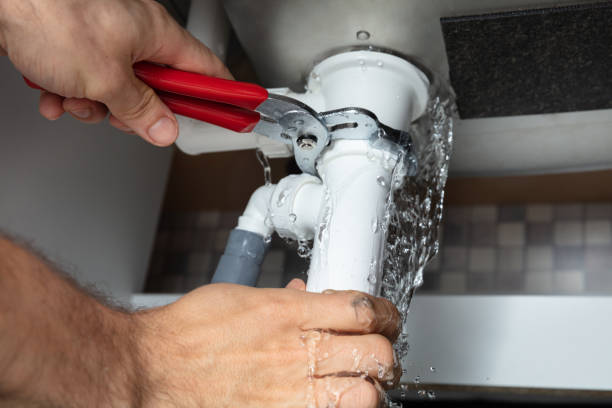 Best Professional water damage repair  in Steele, AL