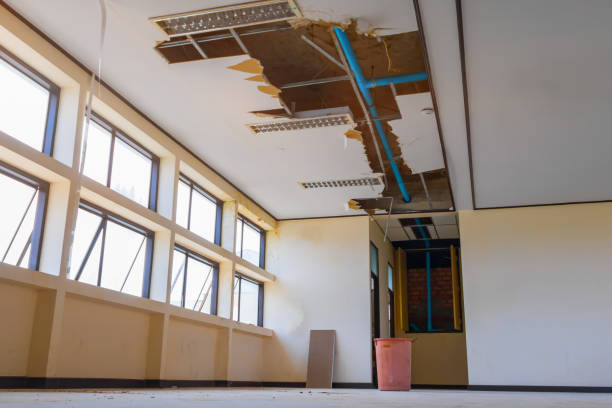 Best Mold removal after water damage  in Steele, AL