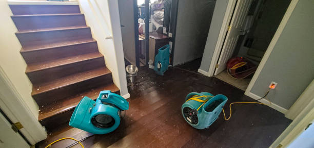 Best Flooded house restoration  in Steele, AL