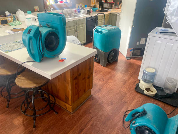 Best Water damage restoration services  in Steele, AL