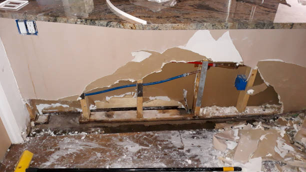Best Local water damage restoration  in Steele, AL