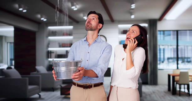 Best 24-hour water damage restoration  in Steele, AL