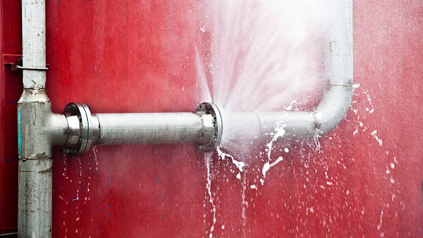 Best Water damage contractors near me  in Steele, AL